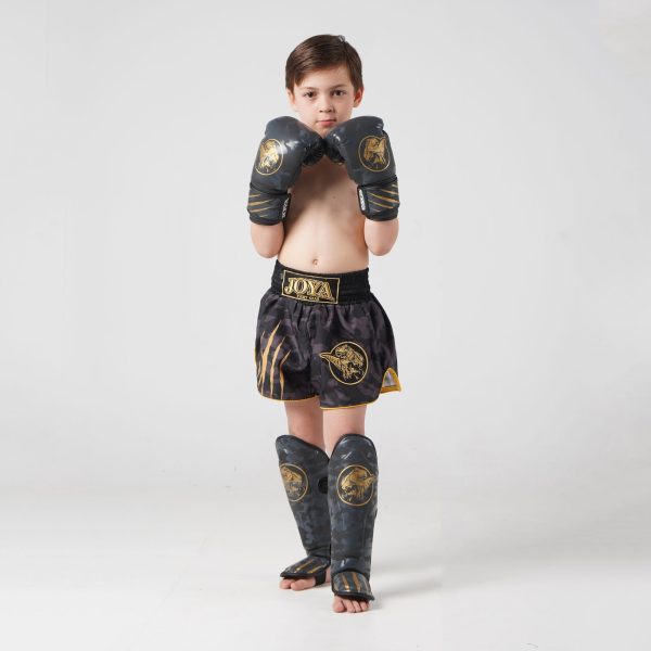 JOYA DINO MUAY THAI SHORTS - SILVER - Image 3